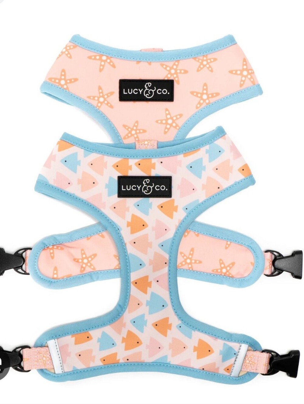 Lucy & Co. Pastel Fish Print Padded Dog Harness - Pink & Blue